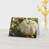 グリッターカボチャ カード (黄色い花)