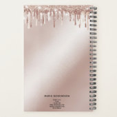 グリッタードリップスメイクアップアイズレイズバラ金ゴールド プランナー手帳 (裏面)