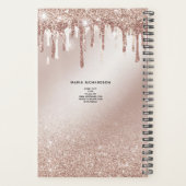 グリッタードリップスメイクアップアイズレイズバラ金ゴールド プランナー手帳 (裏面)