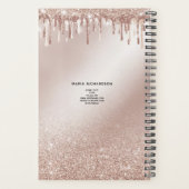 グリッタードリップスメイクアップアイズレイズバラ金ゴールド プランナー手帳 (裏面)