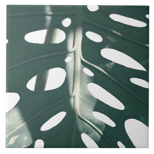 グリファンキーー淡い色のンスイスチーズ工場 タイル (正面)