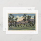グリフィス公園の市営ゴルフコース ポストカード (正面/裏面)