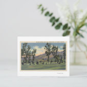 グリフィス公園の市営ゴルフコース ポストカード (スタンド正面)