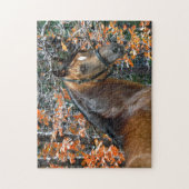 「グリフィン」 ジグソーパズル (縦)