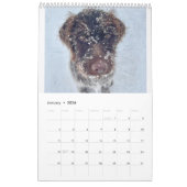 グリフォロジー2024! カレンダー (1月 2026)