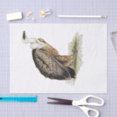 グリフォンのハゲワシのデコページ 薄葉紙 (クラフト)