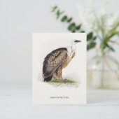 グリフォンのハゲワシ ポストカード (スタンド正面)