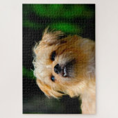 グリフォン犬のジグサウ。 ジグソーパズル (縦)