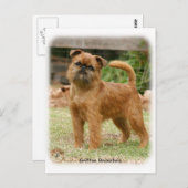 グリフォンBruxellois 9Y406D-078 ポストカード (正面/裏面)