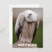 グリフォンVulture, "点滅しない"ポストカード ポストカード (正面/裏面)