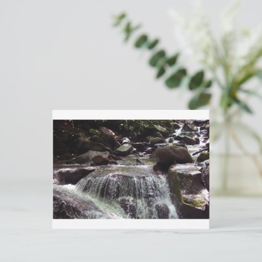 グリホセートフリーテネシーのクリスマスポストカード ポストカード (スタンド正面)