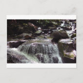 グリホセートフリーテネシーのクリスマスポストカード ポストカード (正面)