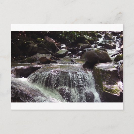 グリホセートフリーテネシーのクリスマスポストカード ポストカード (正面)