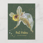 グリムショーフェアリー誕生日ウィッシングスターズCC1231 ポストカード (正面)