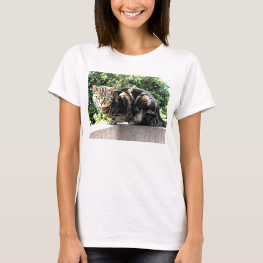 グリムリン・ザ・タビー・キャット Tシャツ (正面)