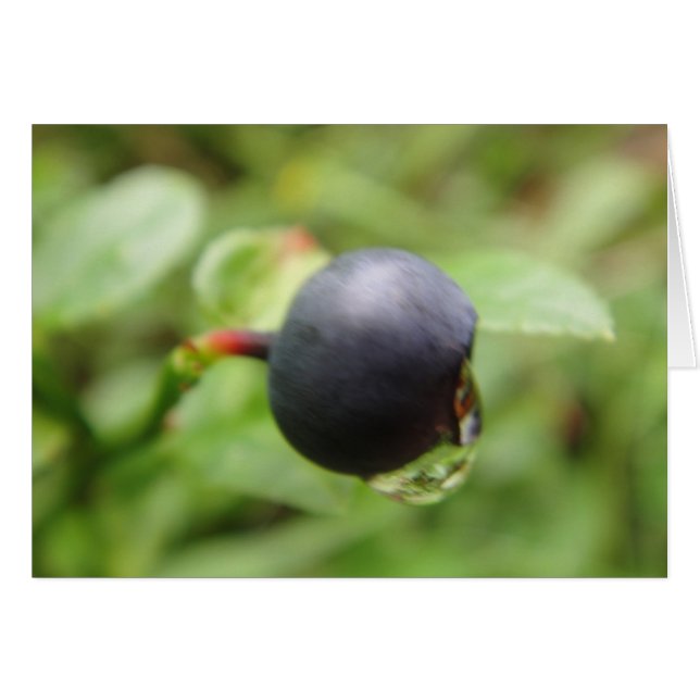 グリュスカルテワルディデイルベエットワッセルトロフェン (正面横)