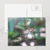 グリュセオースフロリダグリュスカルテポストカルテ ポストカード (正面/裏面)