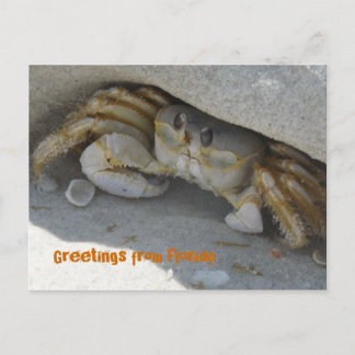 グリュセオースフロリダグリュスカルテポストカルテ ポストカード