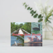 グリュセオースフロリダグリュスカルテポストカルテ ポストカード (スタンド正面)