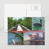 グリュセオースフロリダグリュスカルテポストカルテ ポストカード (正面/裏面)