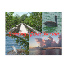 グリュセオースフロリダグリュスカルテポストカルテ