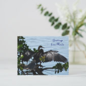 グリュセオースフロリダグリュスカルテポストカルテ ポストカード (スタンド正面)