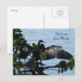 グリュセオースフロリダグリュスカルテポストカルテ ポストカード (正面/裏面)