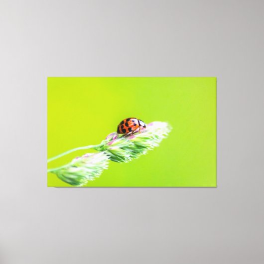 グリュックスブリンガー – マリエンカファーディーンウェンド! キャンバスプリント (正面)