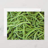 グリューンボーネン ポストカード (正面/裏面)