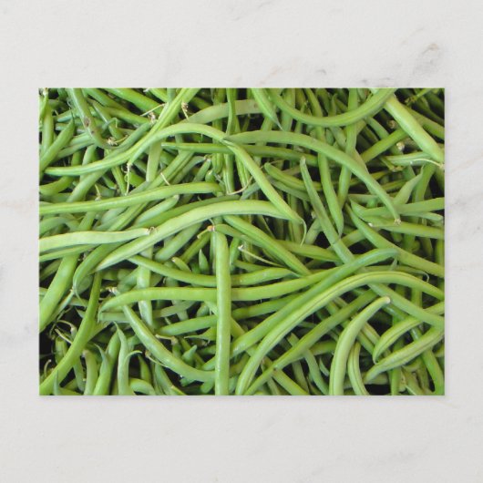 グリューンボーネン ポストカード (正面)