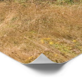 グリンズキャニオンダムプリント ポスター (角)