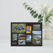 グリンデルワルドはがき ポストカード (スタンド正面)