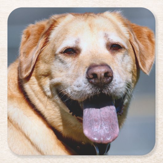 グリン スクエアペーパーコースター (正面)