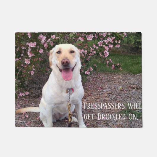 グリン ドアマット (正面)