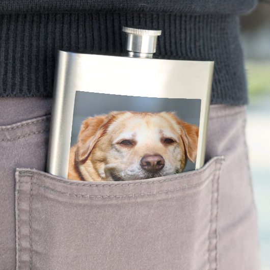 グリン フラスク (インサイチュ)