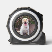 グリン メジャー (正面)