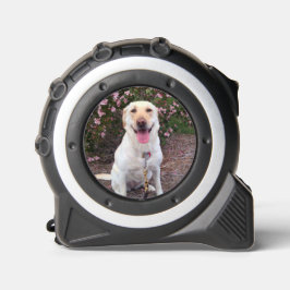 グリン メジャー