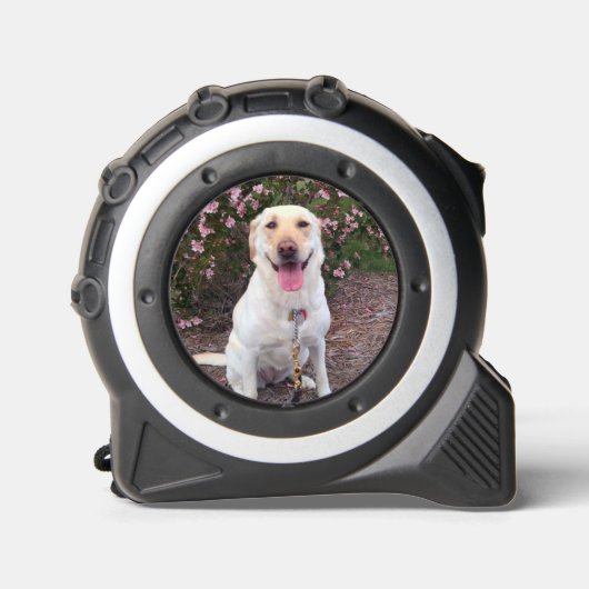 グリン メジャー (正面)