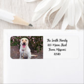 グリン ラベル (インサイチュ)