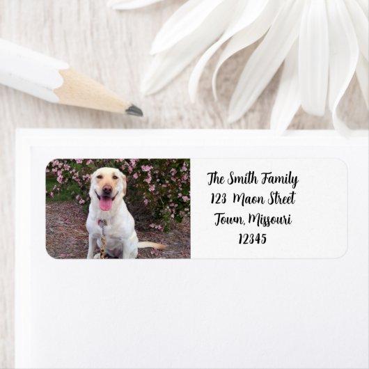 グリン ラベル (インサイチュ)