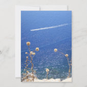 グリークブルーシーフラット誕生日カード カード (裏面)