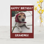 グリーティカスタマイズングカードハッピーバースデーおばあちゃん カード (黄色い花)