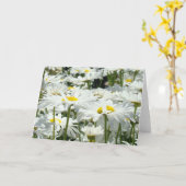 グリーティングカーカスタムドデイジー白い花フローラ カード (黄色い花)