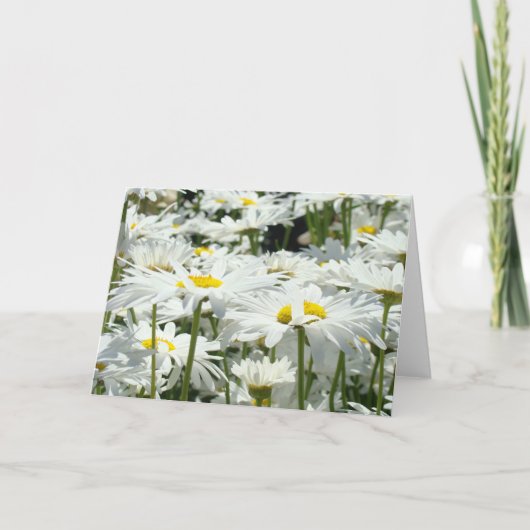 グリーティングカーカスタムドデイジー白い花フローラ カード (正面)