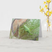 グリーティングカードに緑のクリケット カード (黄色い花)
