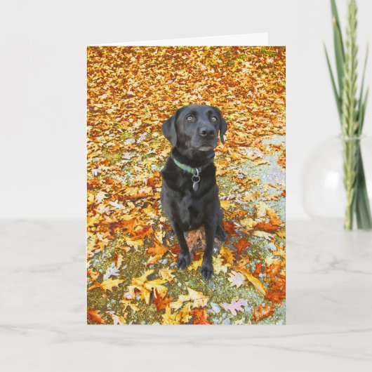 グリーティングカードに落ちる カード (正面)