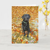 グリーティングカードに落ちる カード (黄色い花)