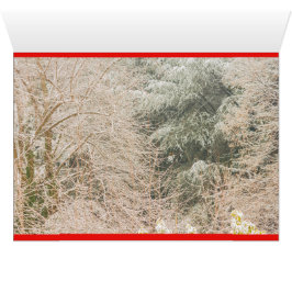 グリーティングカードの白い冬の風景