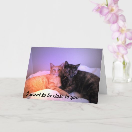 グリーティングカードの近く カード (蘭)