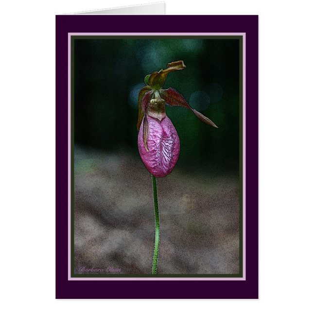 グリーティングカードカード： (正面)